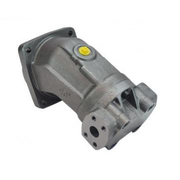 200 bar High Pressure Parker Hydraulic Pump Denison T6CC T6DC T6EC T6ED Double Vane Pump for Excavator