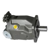 Equivalent Rexroth A10vso100 Hydraulic Pump and Piston Pump