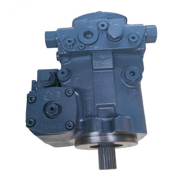 2sk-6 Two Stage Water Ring Vacuum Pump #1 image